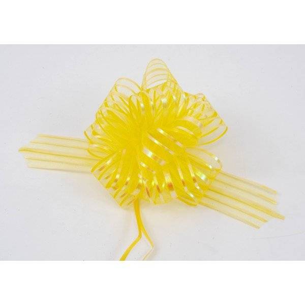 Funde Rapide Cadou Organza 50mm 10/Set