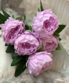 Buchet 5 fire bujori Lila