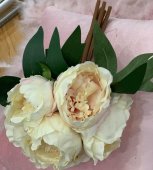 Buchet 6 bujori Bej