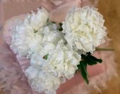 Buchet 7 fire bujori FL Alb