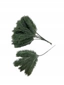 Buchet Creangute Brad 10/set