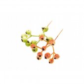 Buchet Macese 20/Set