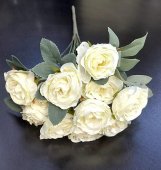 Buchet Model 11