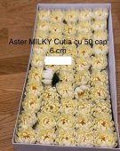 Bujori nuferi din sapun aster milky