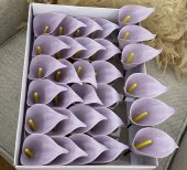 Cale sapun Light Purple