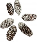 Conuri Brad Artificial Nins 6,5 Cm 250 G