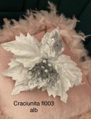Craciunita sdfl003 Craciunita sdfl003
