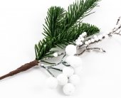 Decoratiune Craciun Crenguta Brad,Ilex,Bile Mari Alb 10/Set