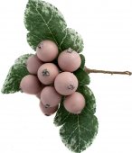 Decoratiune Craciun Crenguta Macese Roz Cu Frunze 12/Set