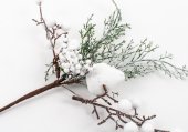 Decoratiune Craciun Crenguta Tuia,Bile Mari,Ilex,Para Alb 10/Set