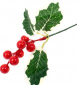 Decoratiune Craciun Cu O Crenguta Bile Cu Frunze 12/Set