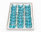 Fluturi Pene 24/set Dantelat Bleo-Turcoz