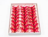 Fluturi Pene 24/set Rosu-Ciclam
