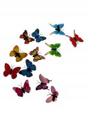 Fluturi Plastic Clips 12/Set Mixt Color
