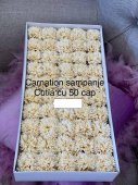 Garoafe De Sapun Carnation Sampanie