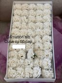 Garoafe Din Săpun Carnation Alb