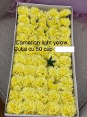 Garoafe Din Săpun Carnation Light Yelow
