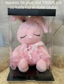 Iepuraș în cutie somnoros roz cu fustă roz