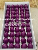 Lalele sapun 4 cm Violet