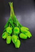  Lalele silicon 10/set Verde deschis