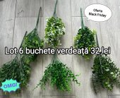 Lot 6 buchete verdeata