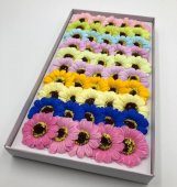 Margarete Din Săpun Daisy Mic Multicolor