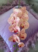  Orhidee silicon 3d real touch cod35