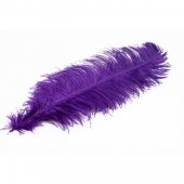 Pene De Strut Mov 40-45cm 10/Set