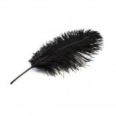 Pene De Strut Negru 40-45cm 10/Set