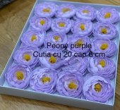Peony sapun Light purple