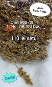 Punga 100 crengute aurii bilute mici
