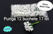 Punga 12 buchete stamine albe