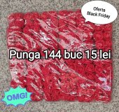 Punga 144 buc trandafiri spuma de 2 cm rosii