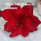 Set 10 craciunite Model 50