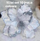 Set 10 craciunite Model 51