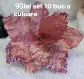 Set 10 craciunite Model 53