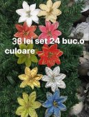 Set 24 Craciunite