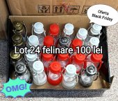 Set 24 felinare Model 1