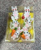 Set 6 cuiburi iepuri