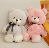 Teddy bear 35 cm roz pal