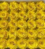 Trandafiri de sapun cu aspect criogenat 25/set Galben