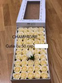 Trandafiri de Sapun Parfumati 5cm Sampanie